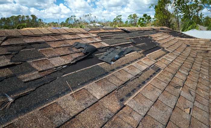 A roofer and a customer talking outside of a house.